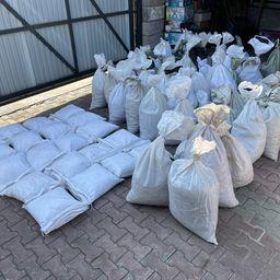 Пограничники Приморья нашли &laquo;трепанговый клад&raquo;