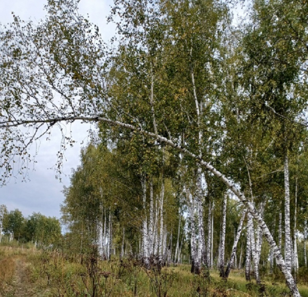 Ещё не вечер.. или "новые люди"